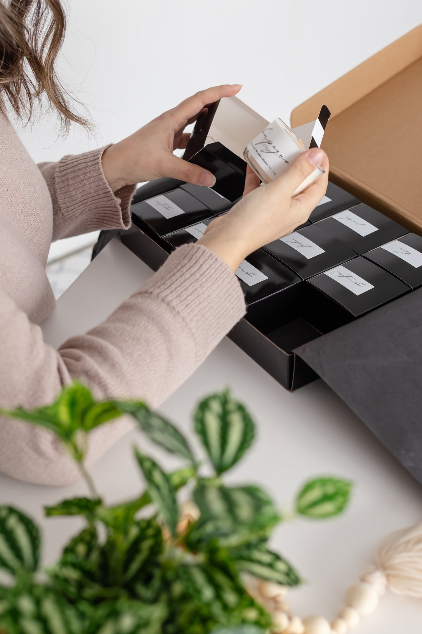 The Candle Collection