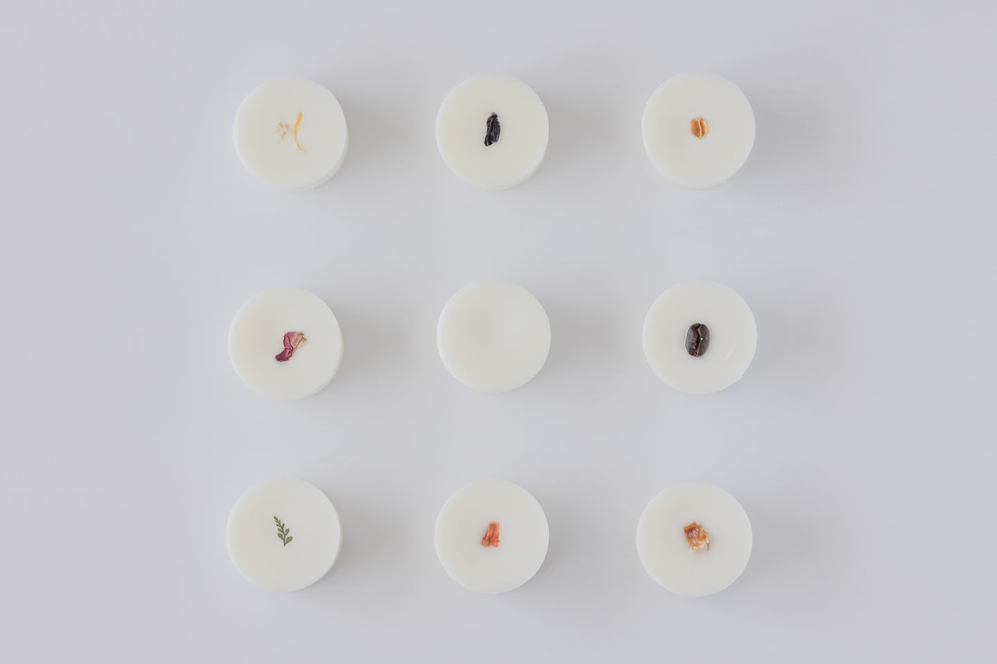 Nine small round white wax melts arranged in a 3x3 grid on a light gray background. Each melt contains a tiny dried botanical or insect specimen, with colors including orange, black, red, and green.